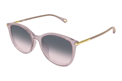 Solbriller Chloé CH0397SK 005
