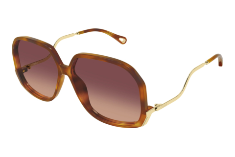 Solbriller Chloé CH0404S 001