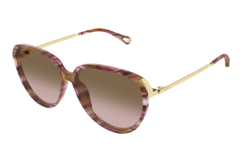 Solbriller Chloé CH0406S 002