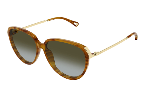 Solbriller Chloé CH0406S 003
