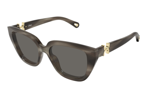 Solbriller Chloé CH0410S 002