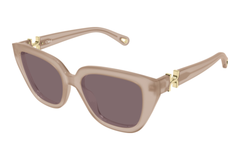Solbriller Chloé CH0410S 005