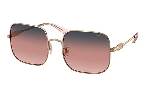Solbriller Coach L1169 (HC7120 93678D)