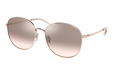 Solbriller Coach C7996 (HC7134 93318Z)