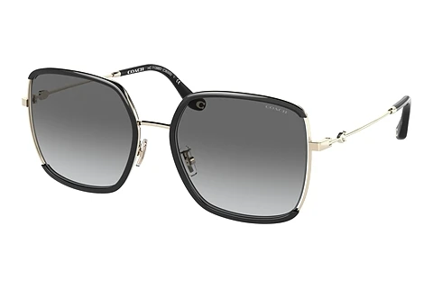 Solbriller Coach C8000 (HC7139BD 934611)