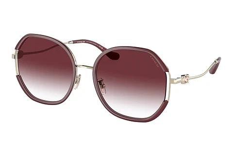 Solbriller Coach CD452 (HC7144BD 94158H)