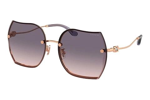 Solbriller Coach CD454 (HC7146BD 933136)