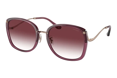 Solbriller Coach CL905 (HC7157D 58013P)