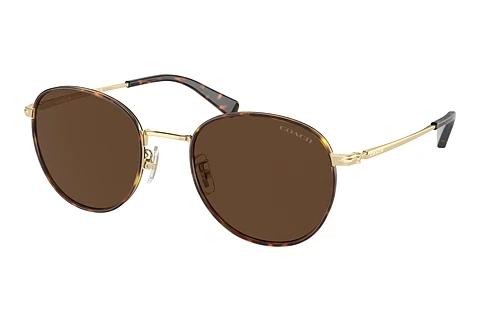 Solbriller Coach CR631 (HC7163 90053G)