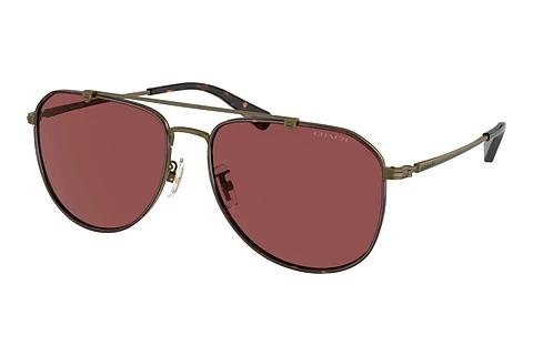Solbriller Coach CR626 (HC7164 933375)