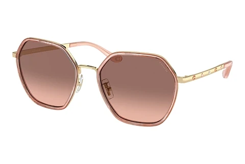 Solbriller Coach CS543 (HC7167B 944413)