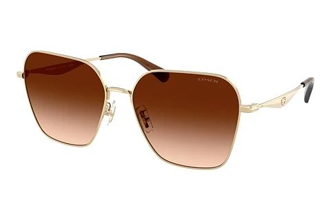 Solbriller Coach CW189 (HC7168 900574)