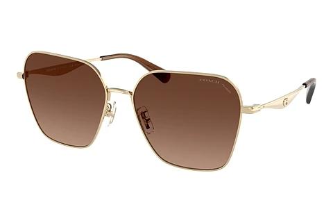 Solbriller Coach CW189 (HC7168 9005T5)