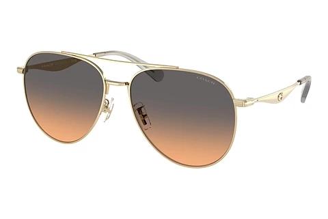 Solbriller Coach CW193 (HC7169 900518)