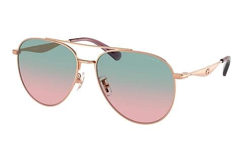 Solbriller Coach CW193 (HC7169 93310Q)