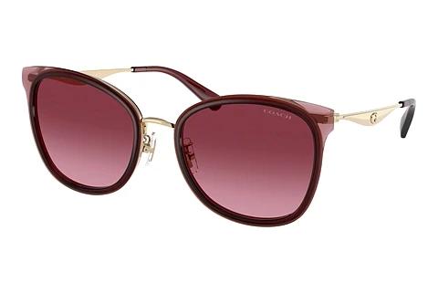 Solbriller Coach CW185 (HC7170 94518H)