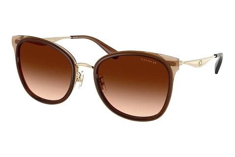 Solbriller Coach CW185 (HC7170 945374)