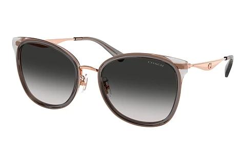Solbriller Coach CW185 (HC7170 94543C)