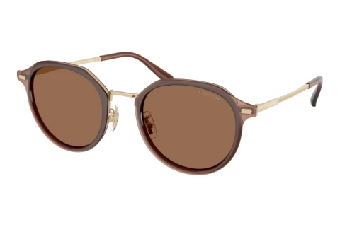 Solbriller Coach CBZ97 (HC7183 947473)