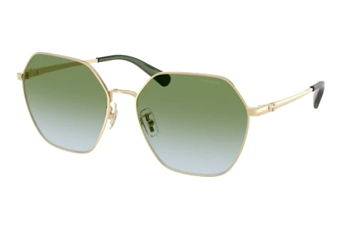 Solbriller Coach CFU05 (HC7194 9005I7)