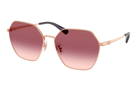 Solbriller Coach CFU05 (HC7194 94077W)