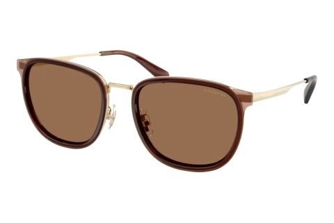 Solbriller Coach CFU13 (HC7195 947473)