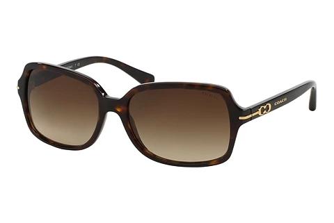 Solbriller Coach L087 BLAIR (HC8116 500113)