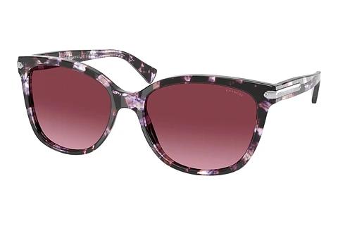 Solbriller Coach L109 (HC8132 55488H)