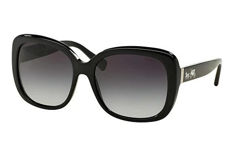 Solbriller Coach L139 (HC8158 500211)