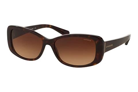 Solbriller Coach L156 (HC8168 512013)