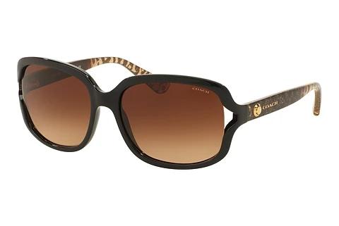 Solbriller Coach L149 (HC8169 535313)