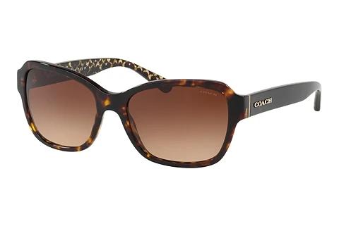 Solbriller Coach L1010 (HC8232 550713)