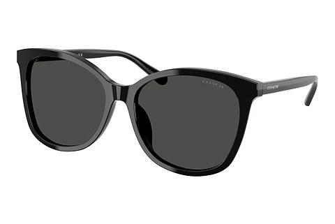 Solbriller Coach L1101 (HC8271U 500287)