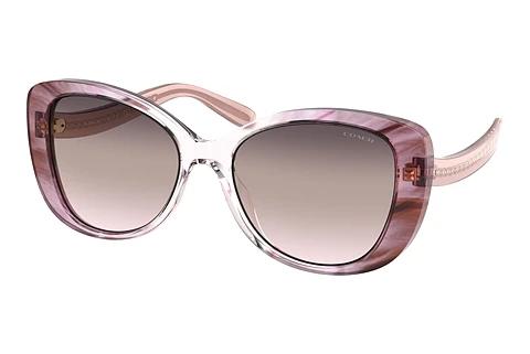Solbriller Coach C6183 (HC8322 5656U8)