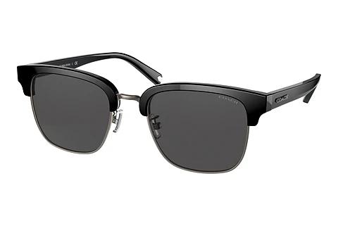 Solbriller Coach C6194 (HC8326 500287)