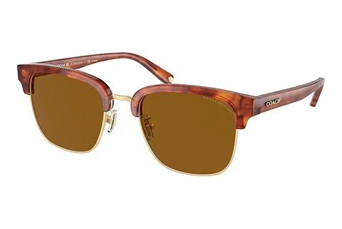 Solbriller Coach C6194 (HC8326 577483)