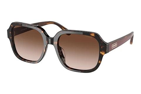 Solbriller Coach C7989 (HC8335U 512013)