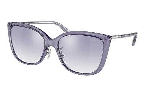 Solbriller Coach C9206 (HC8345 56657B)