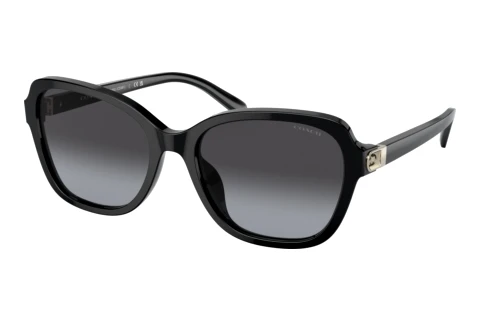 Solbriller Coach CD481 (HC8349U 50028G)