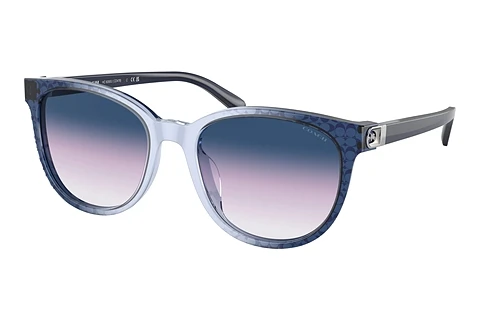 Solbriller Coach CD478 (HC8350U 57088H)