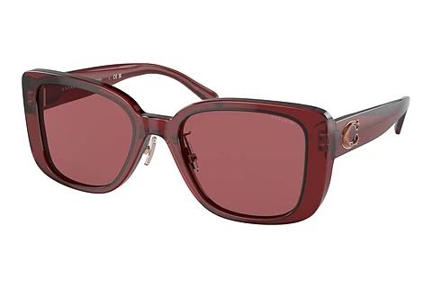 Solbriller Coach CD472 (HC8352 571369)