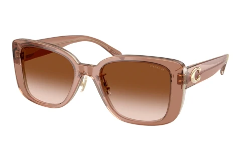 Solbriller Coach CD472 (HC8352 577913)