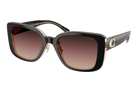Solbriller Coach CD472 (HC8352 5781E2)