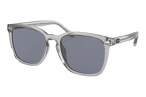 Solbriller Coach CD458 (HC8354U 571855)