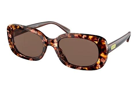 Solbriller Coach CD471 (HC8358U 571173)