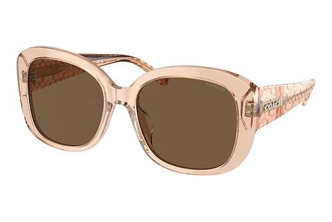 Solbriller Coach CH564 (HC8363U 556173)