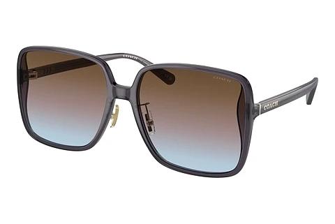Solbriller Coach CH572 (HC8368D 575348)