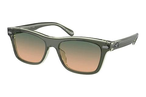 Solbriller Coach CH583 (HC8371U 574613)