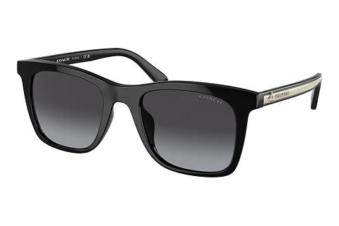 Solbriller Coach CH561 (HC8374U 50028G)