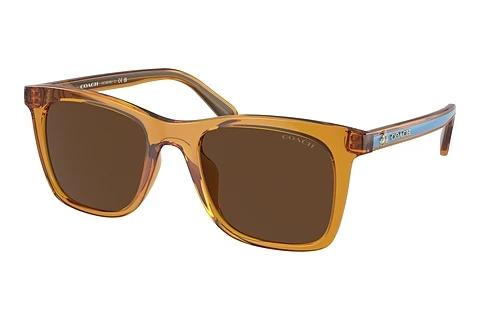 Solbriller Coach CH561 (HC8374U 57483G)